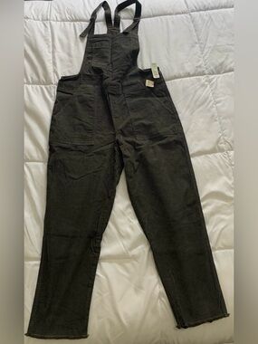 NWTs Aerie overalls Size M